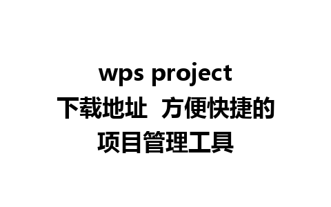 wps project下载地址  方便快捷的项目管理工具