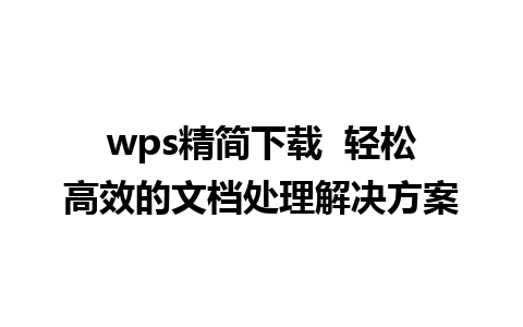 wps精简下载  轻松高效的文档处理解决方案