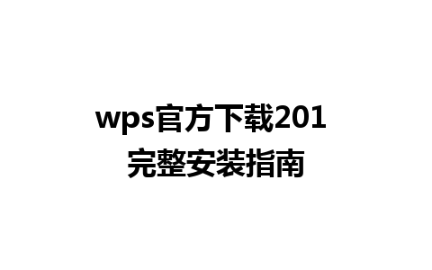 wps官方下载201 完整安装指南