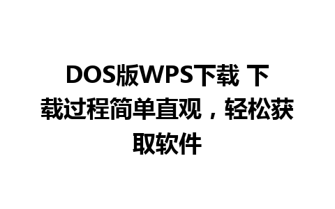 DOS版WPS下载 下载过程简单直观，轻松获取软件