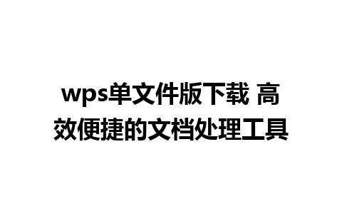 wps单文件版下载 高效便捷的文档处理工具