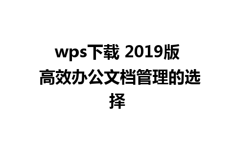 wps下载 2019版 高效办公文档管理的选择