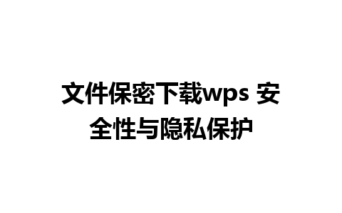 文件保密下载wps 安全性与隐私保护

