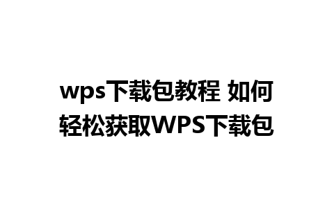 wps下载包教程 如何轻松获取WPS下载包