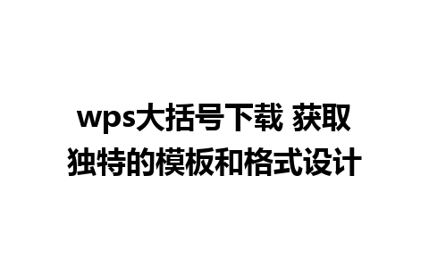 wps大括号下载 获取独特的模板和格式设计