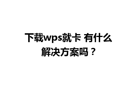 下载wps就卡 有什么解决方案吗？