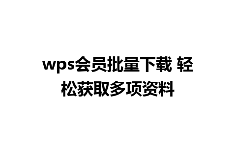 wps会员批量下载 轻松获取多项资料