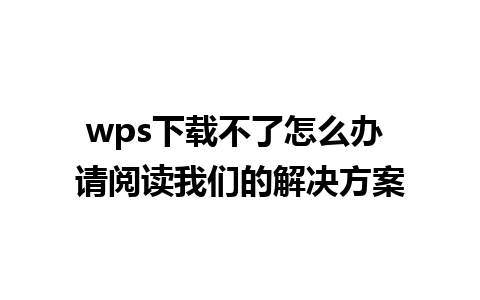 wps下载不了怎么办 请阅读我们的解决方案