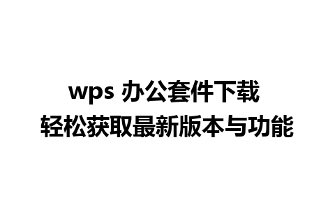 wps 办公套件下载 轻松获取最新版本与功能