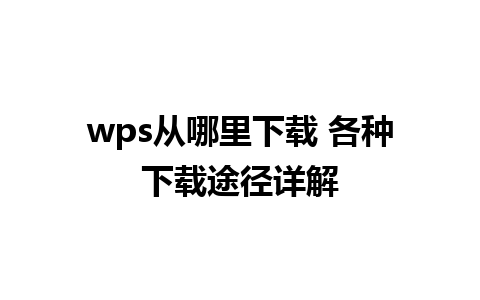 wps从哪里下载 各种下载途径详解