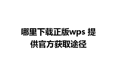 哪里下载正版wps 提供官方获取途径