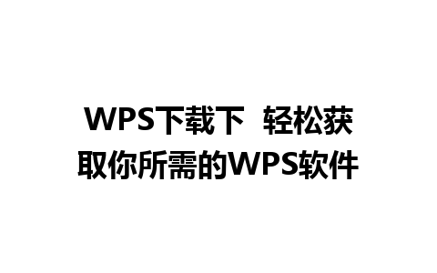 WPS下载下  轻松获取你所需的WPS软件