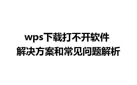 wps下载打不开软件 解决方案和常见问题解析