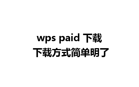 wps paid 下载 下载方式简单明了