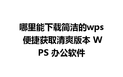 哪里能下载简洁的wps 便捷获取清爽版本 WPS 办公软件