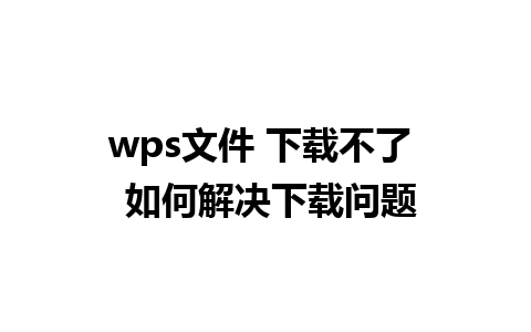 wps文件 下载不了  如何解决下载问题