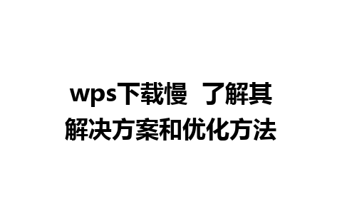 wps下载慢  了解其解决方案和优化方法