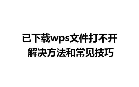 已下载wps文件打不开 解决方法和常见技巧