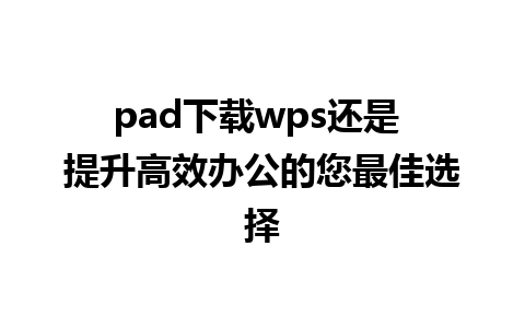 pad下载wps还是 提升高效办公的您最佳选择