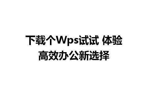 下载个Wps试试 体验高效办公新选择