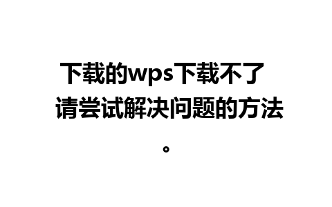 下载的wps下载不了  请尝试解决问题的方法。