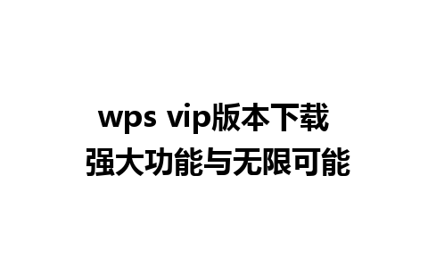 wps vip版本下载 强大功能与无限可能