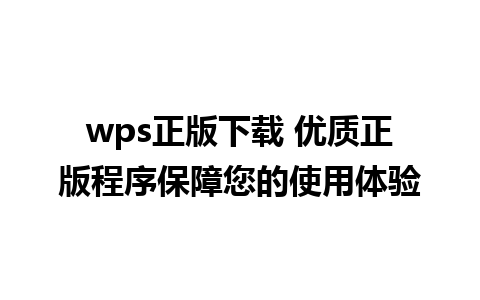 wps正版下载 优质正版程序保障您的使用体验