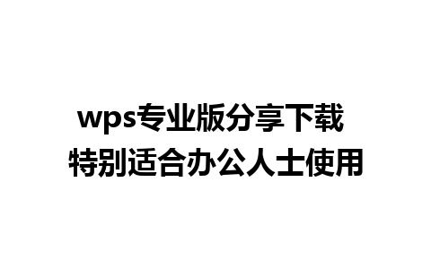 wps专业版分享下载 特别适合办公人士使用