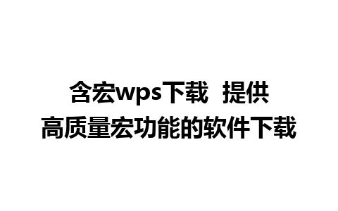 含宏wps下载  提供高质量宏功能的软件下载