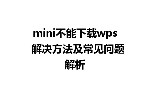 mini不能下载wps  解决方法及常见问题解析