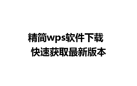 精简wps软件下载  快速获取最新版本