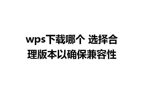 wps下载哪个 选择合理版本以确保兼容性