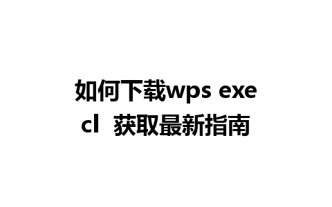 如何下载wps execl  获取最新指南