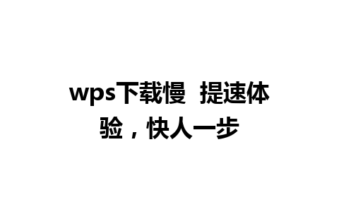 wps下载慢  提速体验，快人一步