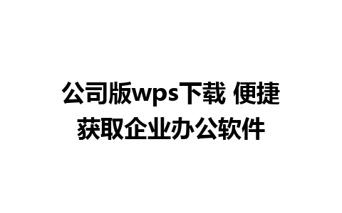 公司版wps下载 便捷获取企业办公软件