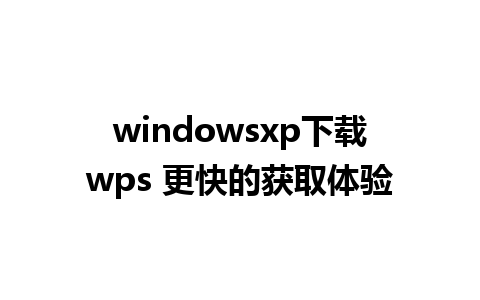 windowsxp下载wps 更快的获取体验