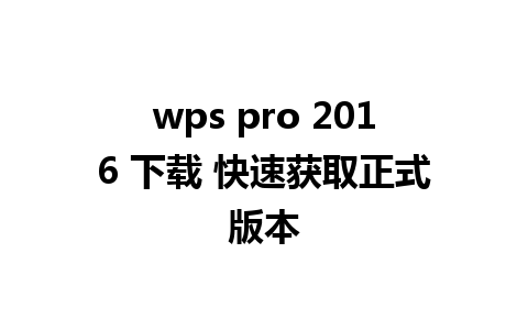 wps pro 2016 下载 快速获取正式版本