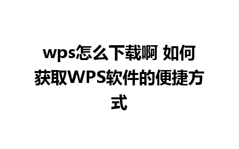 wps怎么下载啊 如何获取WPS软件的便捷方式