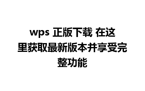 wps 正版下载 在这里获取最新版本并享受完整功能