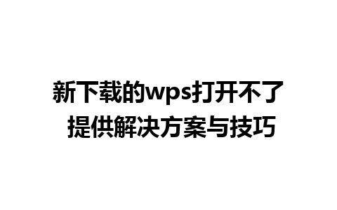 新下载的wps打开不了 提供解决方案与技巧