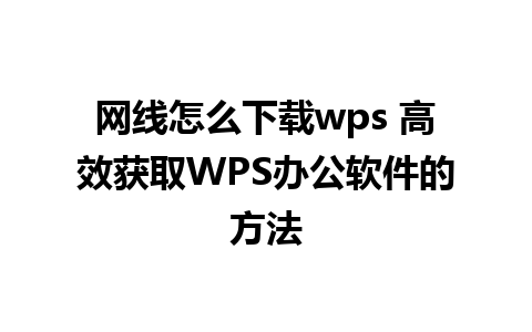 网线怎么下载wps 高效获取WPS办公软件的方法