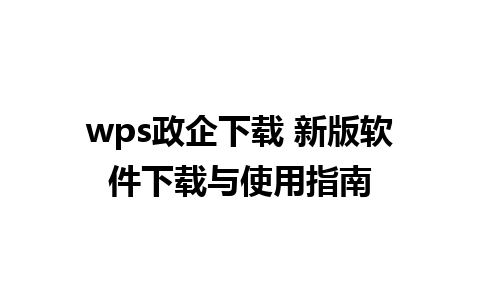 wps政企下载 新版软件下载与使用指南