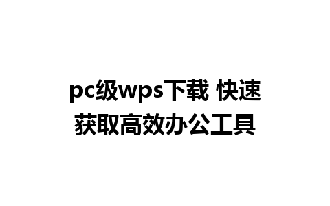 pc级wps下载 快速获取高效办公工具