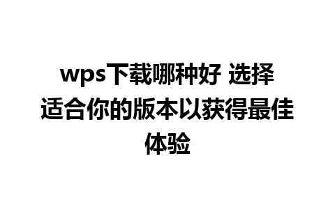 wps下载哪种好 选择适合你的版本以获得最佳体验