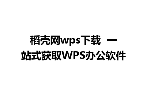 稻壳网wps下载  一站式获取WPS办公软件