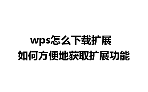 wps怎么下载扩展  如何方便地获取扩展功能