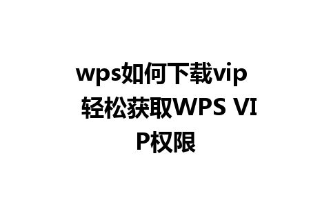 wps如何下载vip  轻松获取WPS VIP权限