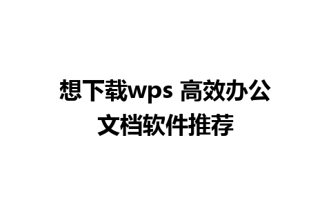 想下载wps 高效办公文档软件推荐