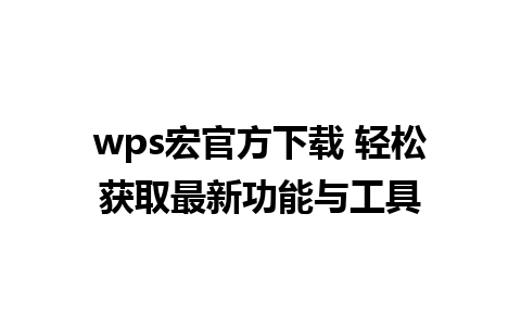 wps宏官方下载 轻松获取最新功能与工具