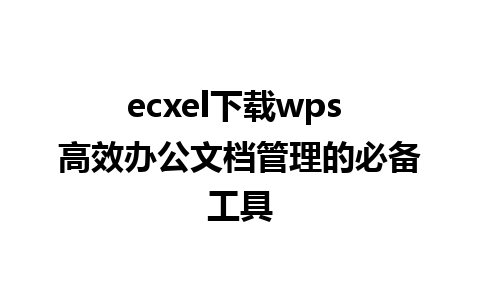 ecxel下载wps 高效办公文档管理的必备工具